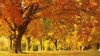 Weekend di novembre 2021