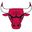 Chicago Bulls