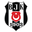 Besiktas JK Stambuł