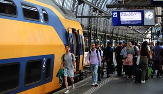 Borsuki sparaliżowały ruch pociągów w Holandii. Ryją nory pod torami