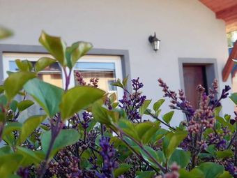 Pokoje Gościnne Mario i Domek Letniskowy