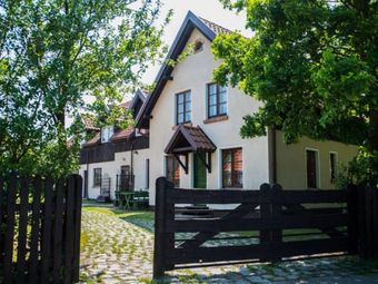 Zielony Bursztyn