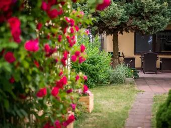 apartament do wynajęcia