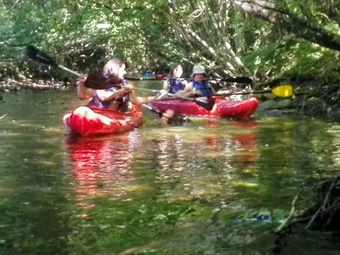 Domek na Mazurach Leśne Zacisze