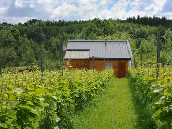 Agroturystyka i Winnica Granice