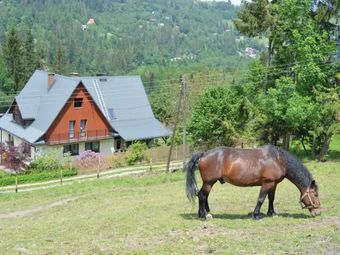 Agroturystyka SKAŁKA