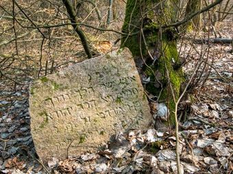 Cmentarz żydowski w Drohiczynie