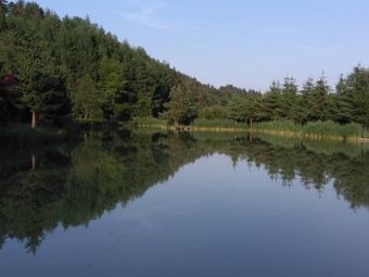 Domki wypoczynkowe Oaza w Bieszczadach z łowiskiem 