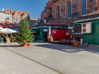 Piwnica Romańska - oddział Muzeum Archeologicznego w Gdańsku