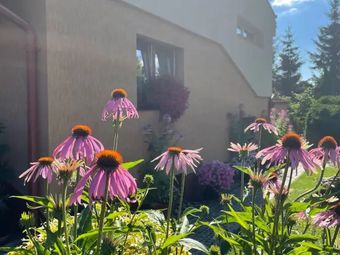 Pokoje Gościnne Wanda