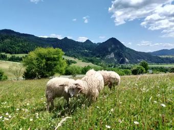 Agroturystyka Pod Zamczyskiem 