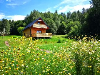Domki w Bartnicy Góry Sowie
