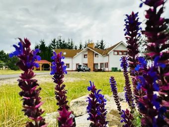 Między Nami a Sosnami Uniejów