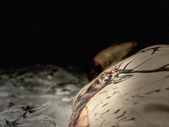 Przystań na Bryjowym