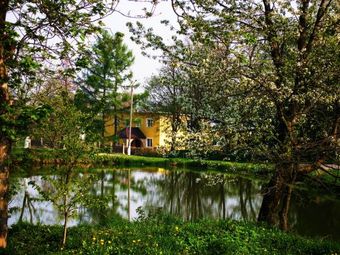 Agroturystyka Pod Lipą 