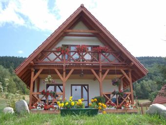 Domek Dzika Stokrotka