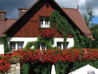 Restauracja U Petiego