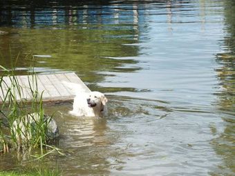 wypoczynek nad jeziorem Łaśmiady