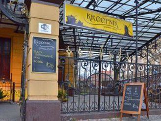  Bistro Kroopnik