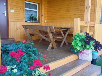 Brzozowy Gaj Orzechów Kolonia