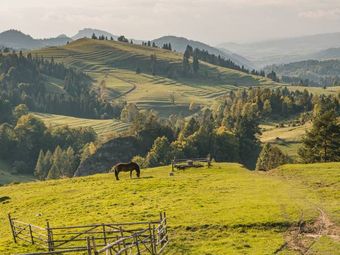 Rezerwat przyrody Biała Woda