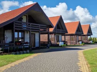 Uśmiechnięty Kaktus