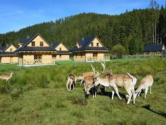 Domki Wypoczynkowe Romanówka