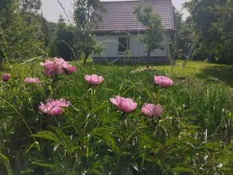 Jaśkowy Domek na Mazurach