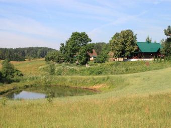 Pod Gruszą i Lipą