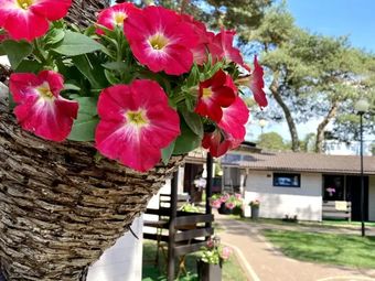 Domki Promyk Mrzeżyno