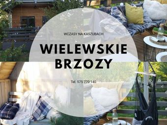Wielewskie Brzozy