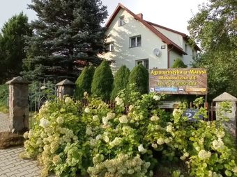 Agroturystyka u Marysi Nad Jeziorem Hańcza