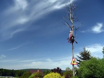 Siedlisko Carownica Family & Wellness