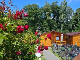 Domki letniskowe Wikar 