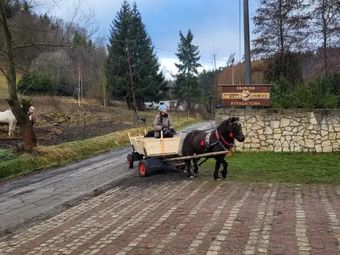 Agroturystyka-Zagroda Studzienno