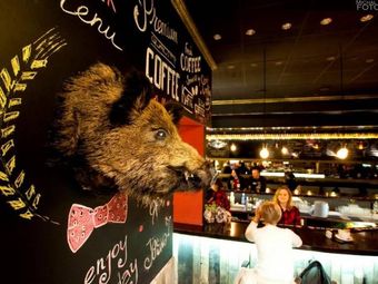 Dziki Wschód Lublin