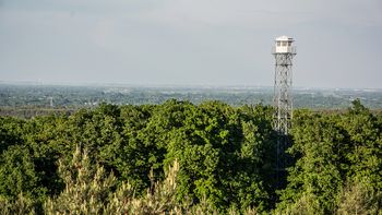 Najwyższe szczyty w Wielkopolsce pieszo i na rowerze - poznaj najlepsze trasy