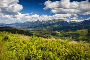 Magura Witowska: zachwycający punkt widokowy na Tatry