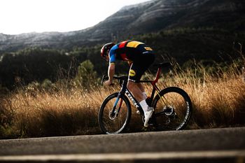 Rowerem w Polskę: Jaki rower szosowy wybrać na aktywny urlop?