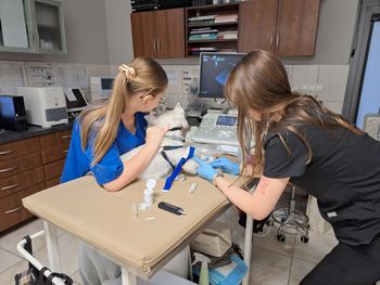 Każą uśpić, bo jadą goście. "Jakby wynosili worek śmieci"