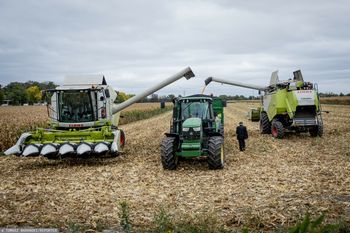 Ostatnie żniwa w tym roku. Oto jak idą zbiory na południu