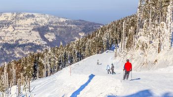 Ferie 2027: gdzie na narty, snowboard i biegówki?