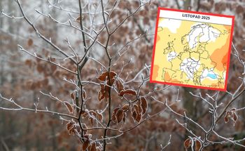 Taka pogoda zapowiada się w listopadzie. Są prognozy