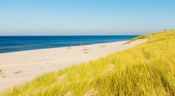 TOP 5 dzikich plaż nad Bałtykiem – bez tłumów, hałasu i parawanów