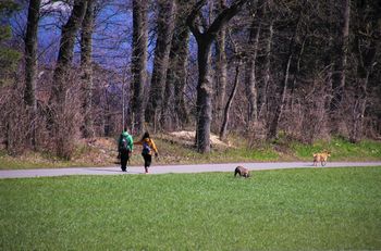 Przyjdź, poznaj, adoptuj. Wyjątkowy spacer w Płocku
