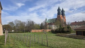Ostrów Tumski jakiego nie znasz. Historyczny spacer śladami władzy i konfliktów