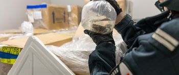 Tysiące koralowców uratowanych na lotnisku. Udaremniono przemyt z Indonezji