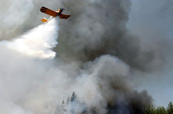 Wysokie zagrożenie pożarowe w lasach. Apel o rozwagę przed majówką