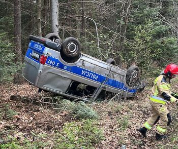 Dachował radiowóz. Policjanci próbowali ominąć sarnę [zdjęcia]