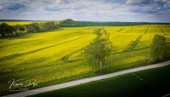 Gmina Szydłowo: Na referendum poszło za mało osób. Decyzję o przyszłości podejmą władze